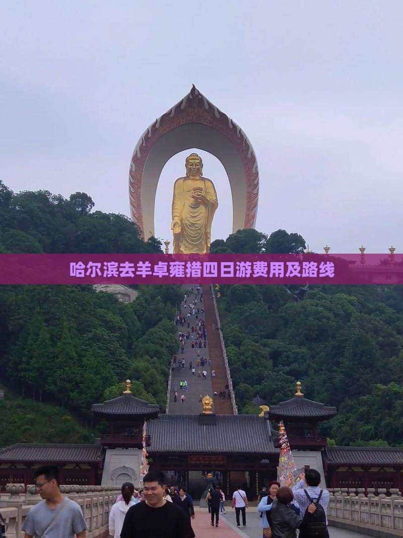 哈尔滨去羊卓雍措四日游费用及路线
