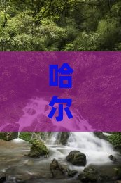 哈尔滨去羊卓雍措四日游费用及路线