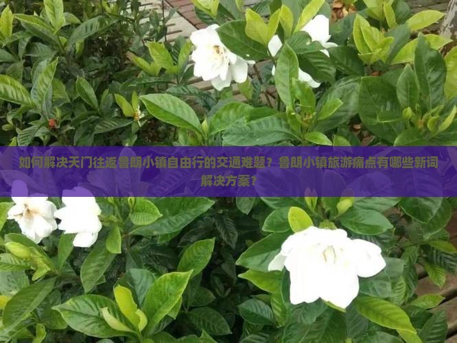如何解决天门往返鲁朗小镇自由行的交通难题？鲁朗小镇旅游痛点有哪些新词解决方案？