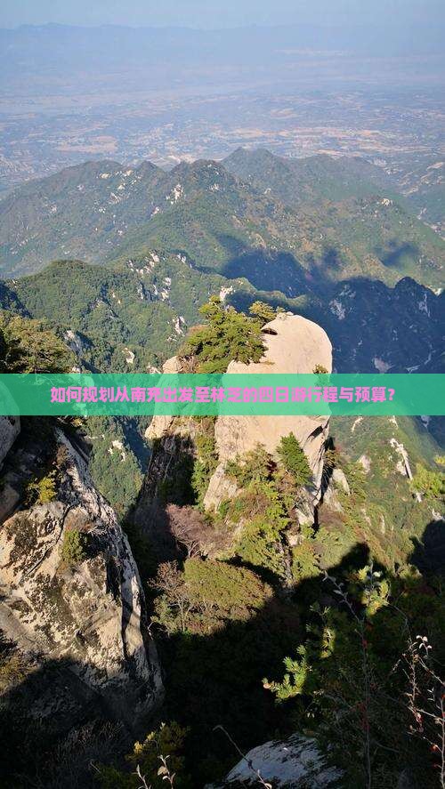 如何规划从南充出发至林芝的四日游行程与预算？