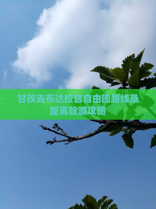 甘孜去布达拉宫自由团路线及距离旅游攻略