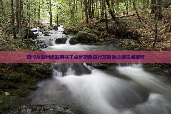 如何从潮州出发前往羊卓雍措自由行攻略及必游景点推荐