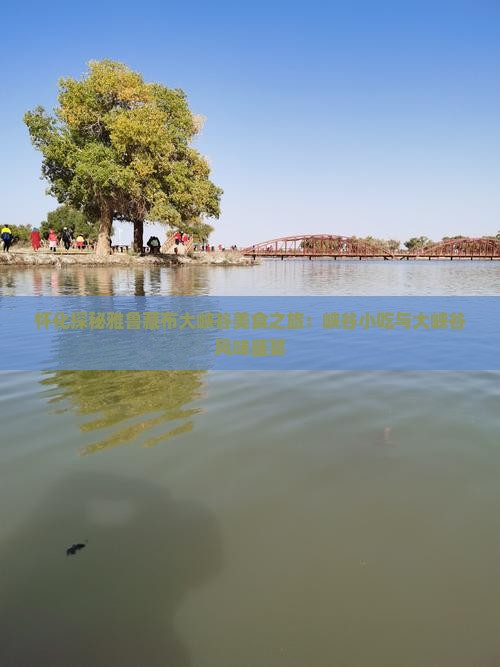 怀化探秘雅鲁藏布大峡谷美食之旅：峡谷小吃与大峡谷风味盛宴