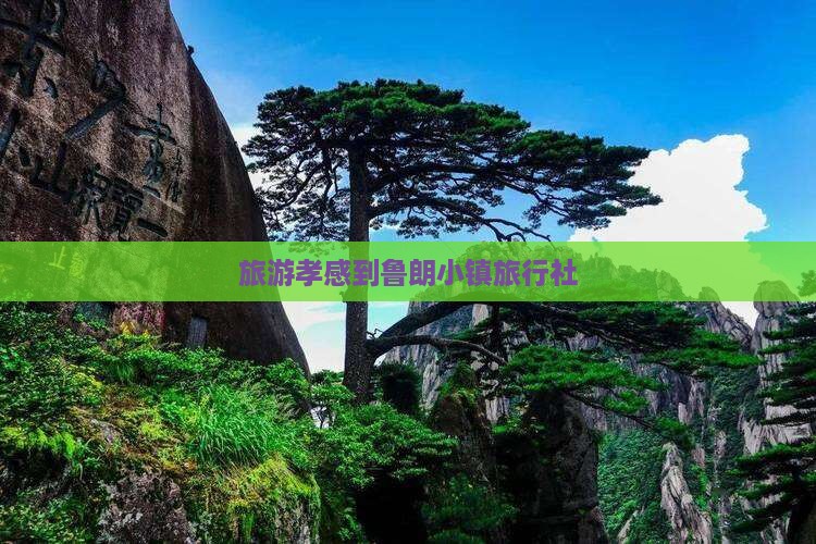 旅游孝感到鲁朗小镇旅行社