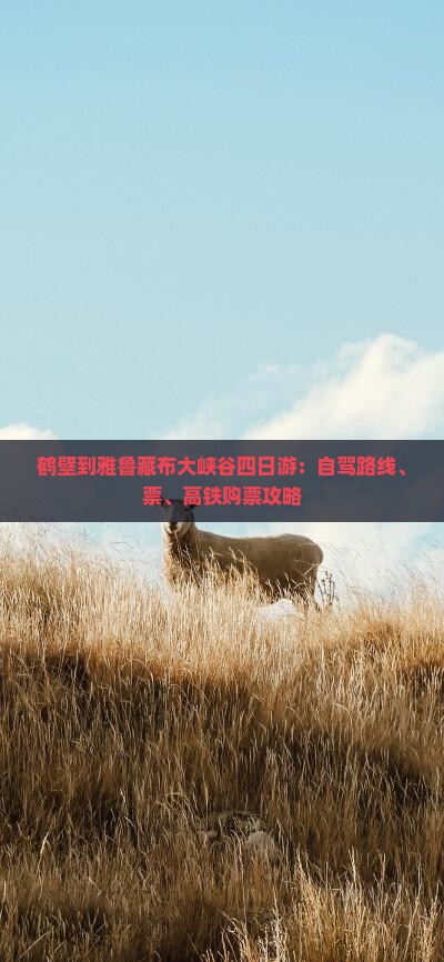 鹤壁到雅鲁藏布大峡谷四日游：自驾路线、票、高铁购票攻略