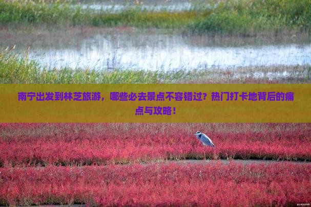 南宁出发到林芝旅游，哪些必去景点不容错过？热门打卡地背后的痛点与攻略！