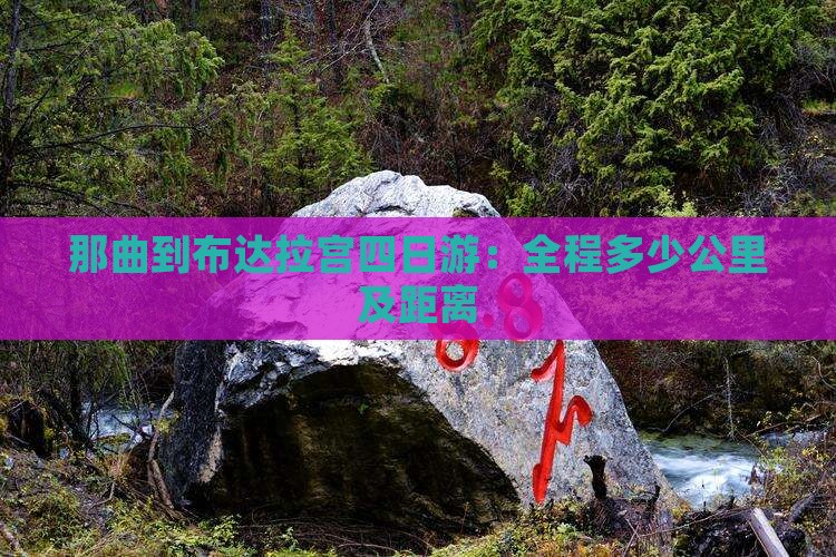 那曲到布达拉宫四日游：全程多少公里及距离