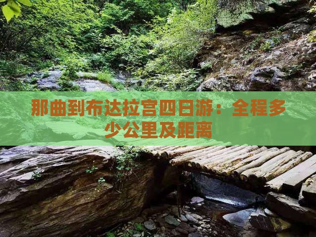 那曲到布达拉宫四日游：全程多少公里及距离