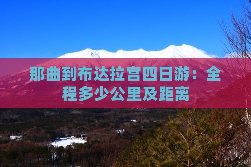 那曲到布达拉宫四日游：全程多少公里及距离