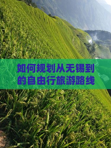 如何规划从无锡到的自由行旅游路线及攻略？
