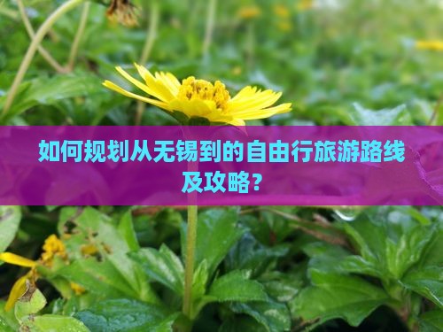 如何规划从无锡到的自由行旅游路线及攻略？