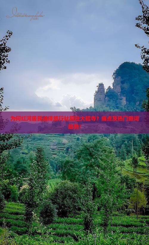 为何红河居民选择旅行社前往大昭寺？痛点及热门新词趋势！
