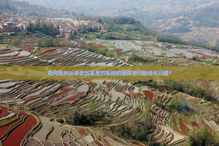如何规划从泰安出发至巴松措的团体旅行路线与行程？