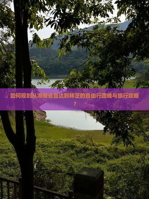 如何规划从海南省直达到林芝的自由行路线与旅行攻略？