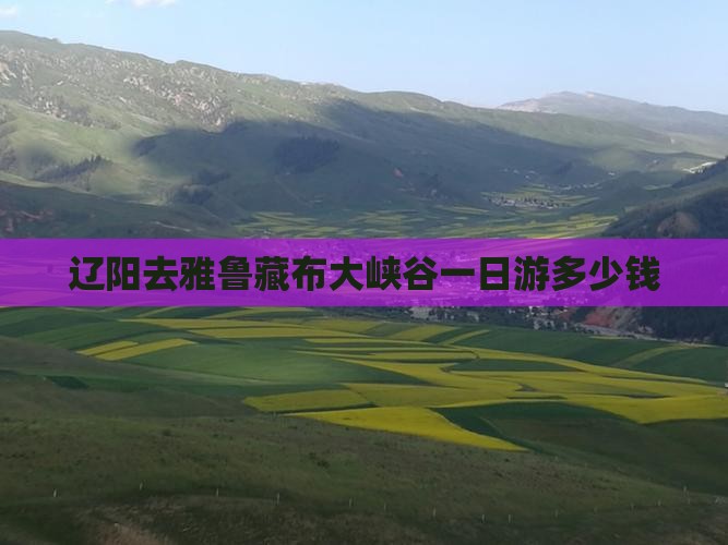 辽阳去雅鲁藏布大峡谷一日游多少钱