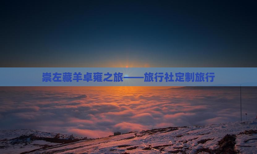 崇左藏羊卓雍之旅——旅行社定制旅行
