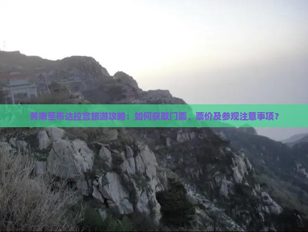 黄南至布达拉宫旅游攻略：如何获取门票、票价及参观注意事项？