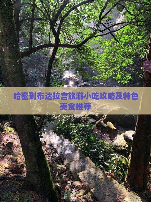 哈密到布达拉宫旅游小吃攻略及特色美食推荐