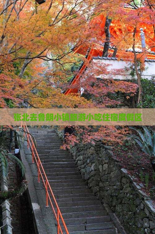 张北去鲁朗小镇旅游小吃住宿度假区