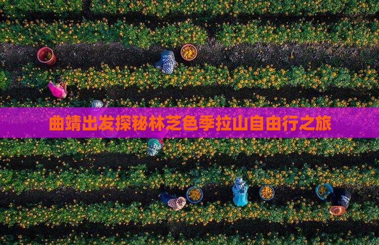 曲靖出发探秘林芝色季拉山自由行之旅
