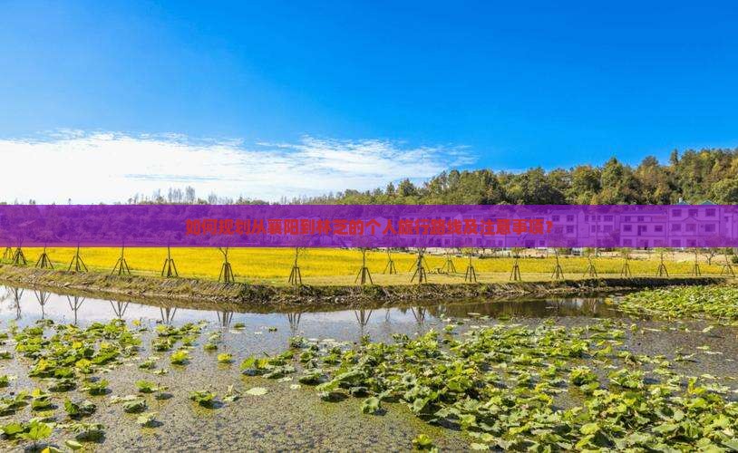 如何规划从襄阳到林芝的个人旅行路线及注意事项？