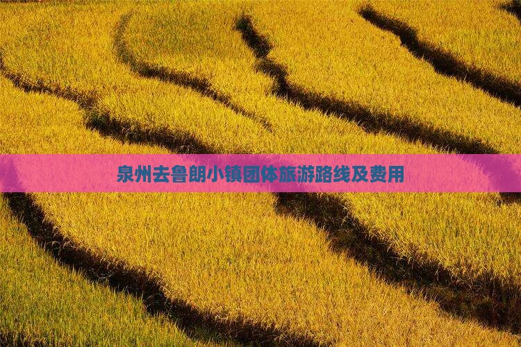 泉州去鲁朗小镇团体旅游路线及费用