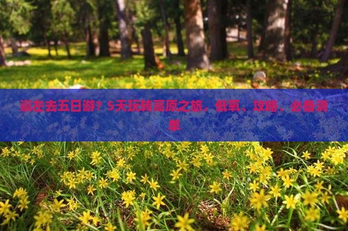 崇左去五日游?5天玩转高原之旅,低氧、攻略、必备清单 崇左去五日游?5天玩转高原之旅,低氧、攻略、必备清单