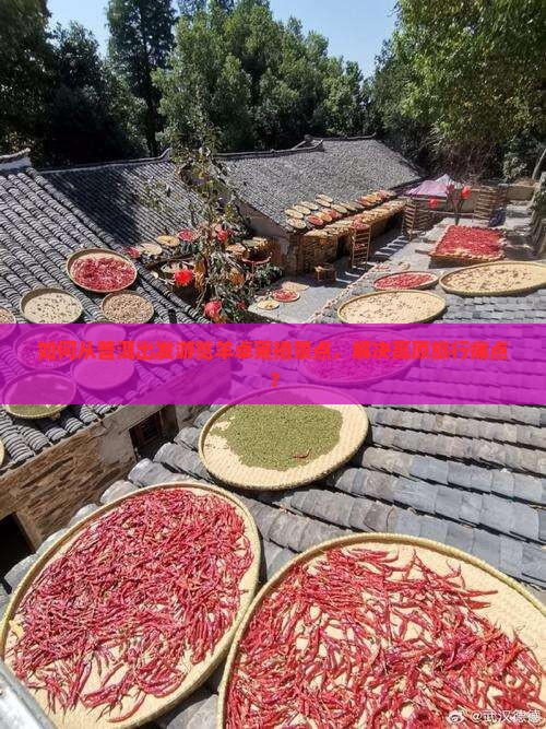 如何从普洱出发游览羊卓雍措景点,解决高原旅行痛点? 如何从普洱出发游览羊卓雍措景点,解决高原旅行痛点?