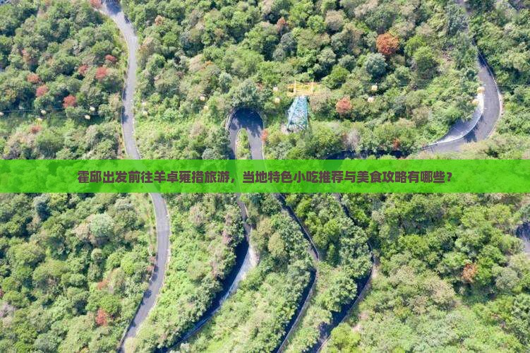 霍邱出发前往羊卓雍措旅游，当地特色小吃推荐与美食攻略有哪些？