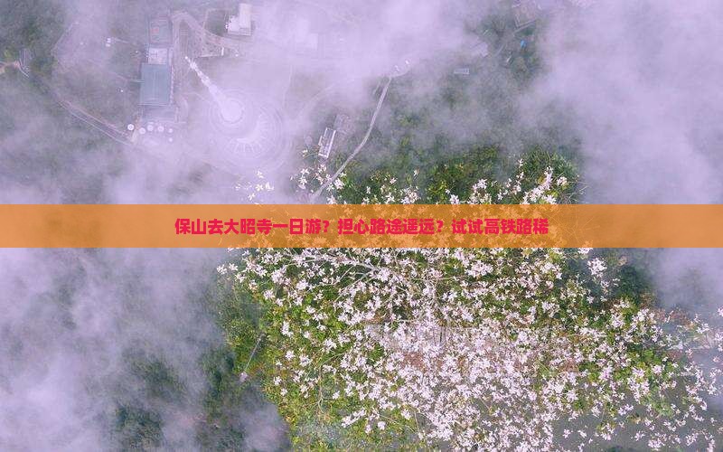 保山去大昭寺一日游?担心路途遥远?试试高铁路稀 保山去大昭寺一日游?担心路途遥远?试试高铁路稀