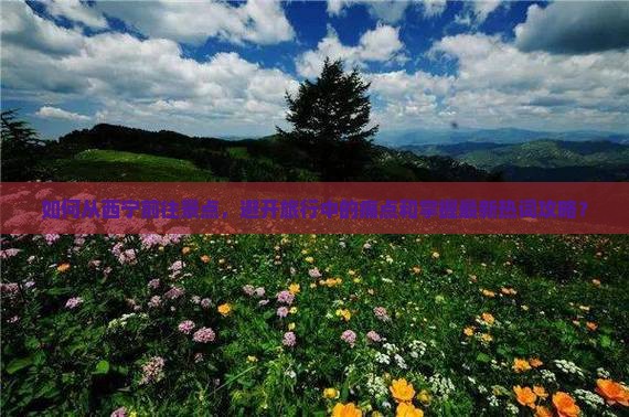 如何从西宁前往景点，避开旅行中的痛点和掌握最新热词攻略？