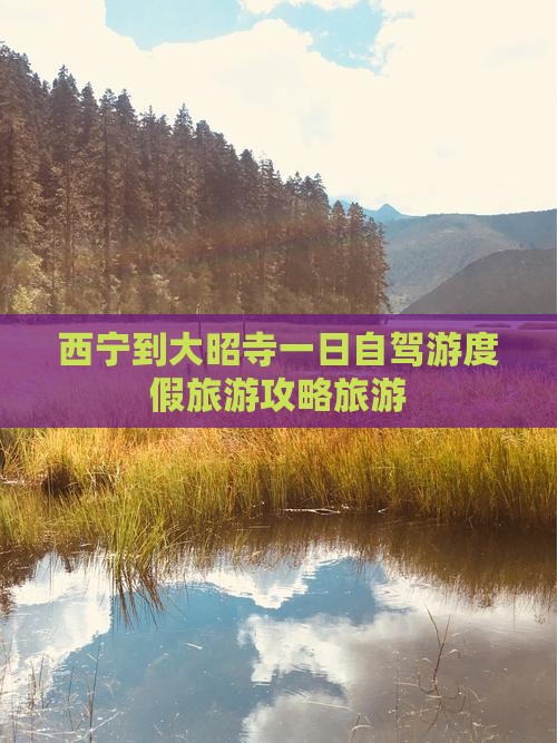 西宁到大昭寺一日自驾游度假旅游攻略旅游