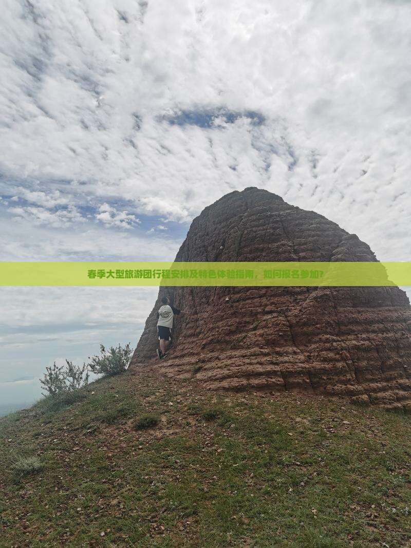 春季大型旅游团行程安排及特色体验指南，如何报名参加？