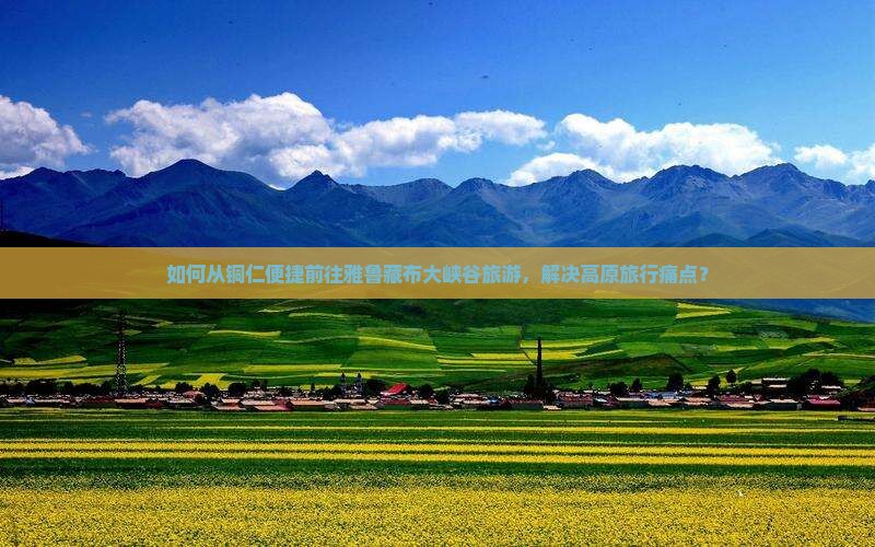 如何从铜仁便捷前往雅鲁藏布大峡谷旅游，解决高原旅行痛点？