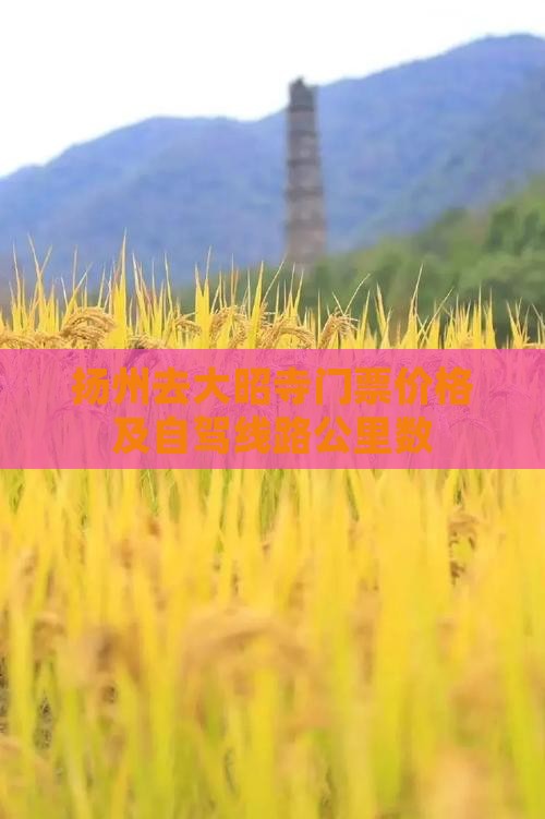 扬州去大昭寺门票价格及自驾线路公里数