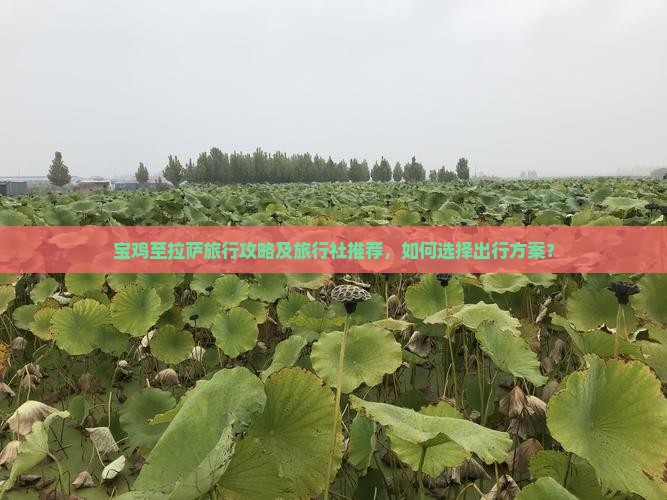 宝鸡至拉萨旅行攻略及旅行社推荐，如何选择出行方案？