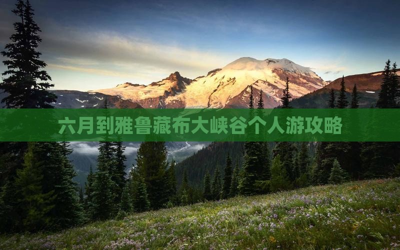 六月到雅鲁藏布大峡谷个人游攻略
