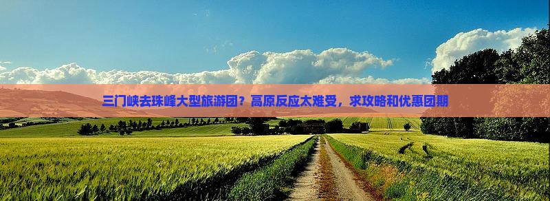 三门峡去珠峰大型旅游团？高原反应太难受，求攻略和优惠团期