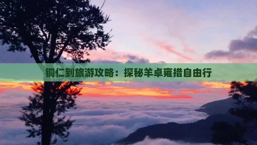 铜仁到旅游攻略：探秘羊卓雍措自由行