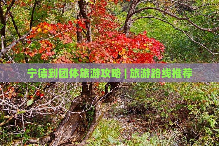 宁德到团体旅游攻略 | 旅游路线推荐