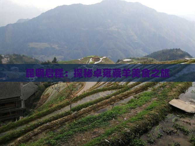 昆明启程：探秘卓雍藏羊美食之旅