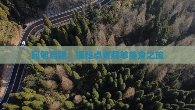 昆明启程：探秘卓雍藏羊美食之旅