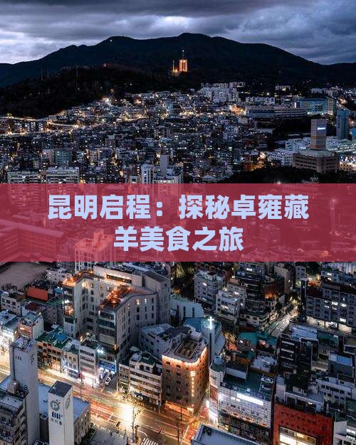 昆明启程：探秘卓雍藏羊美食之旅