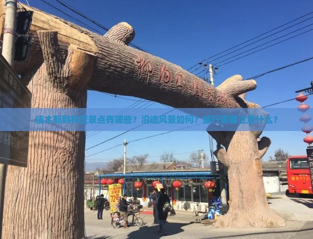 佳木斯到林芝景点有哪些？沿途风景如何？旅行需要注意什么？