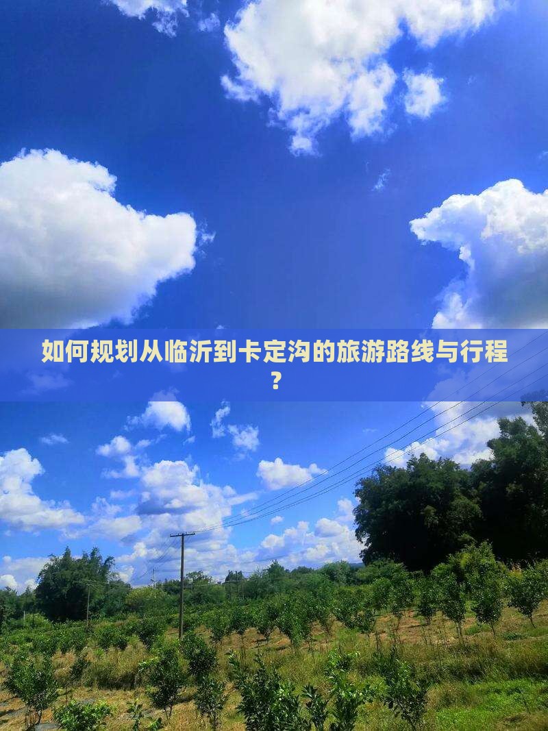 如何规划从临沂到卡定沟的旅游路线与行程？