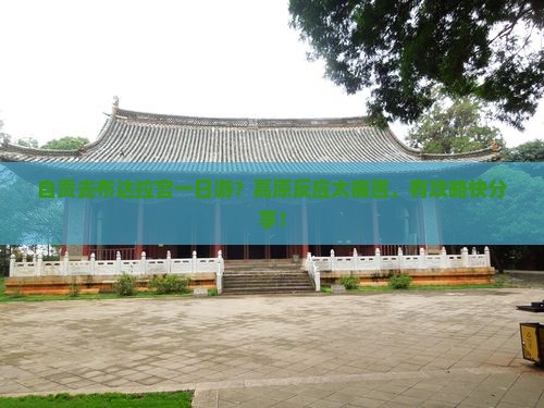 自贡去布达拉宫一日游？高原反应太痛苦，有攻略快分享！
