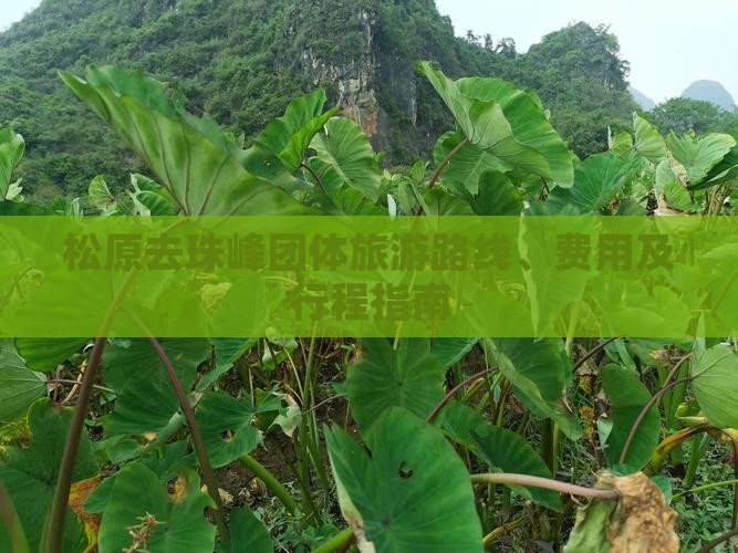 松原去珠峰团体旅游路线、费用及行程指南