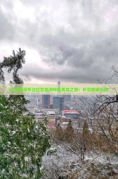 长治探寻布达拉宫旅游特色美食之旅：长治旅游小选