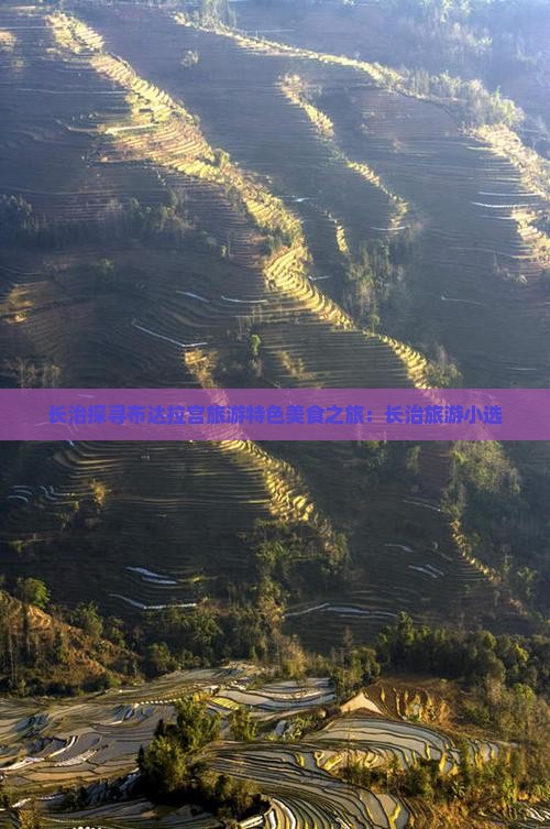 长治探寻布达拉宫旅游特色美食之旅：长治旅游小选