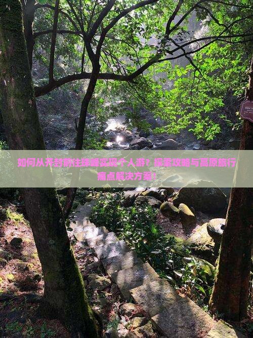 如何从开封前往珠峰实现个人游？探索攻略与高原旅行痛点解决方案！